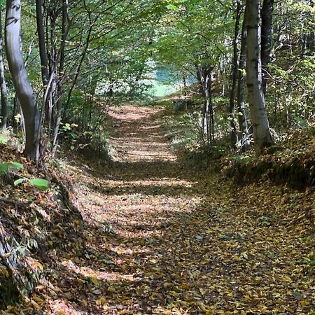 Siedlisko Wyzne Villa Kültér fotó
