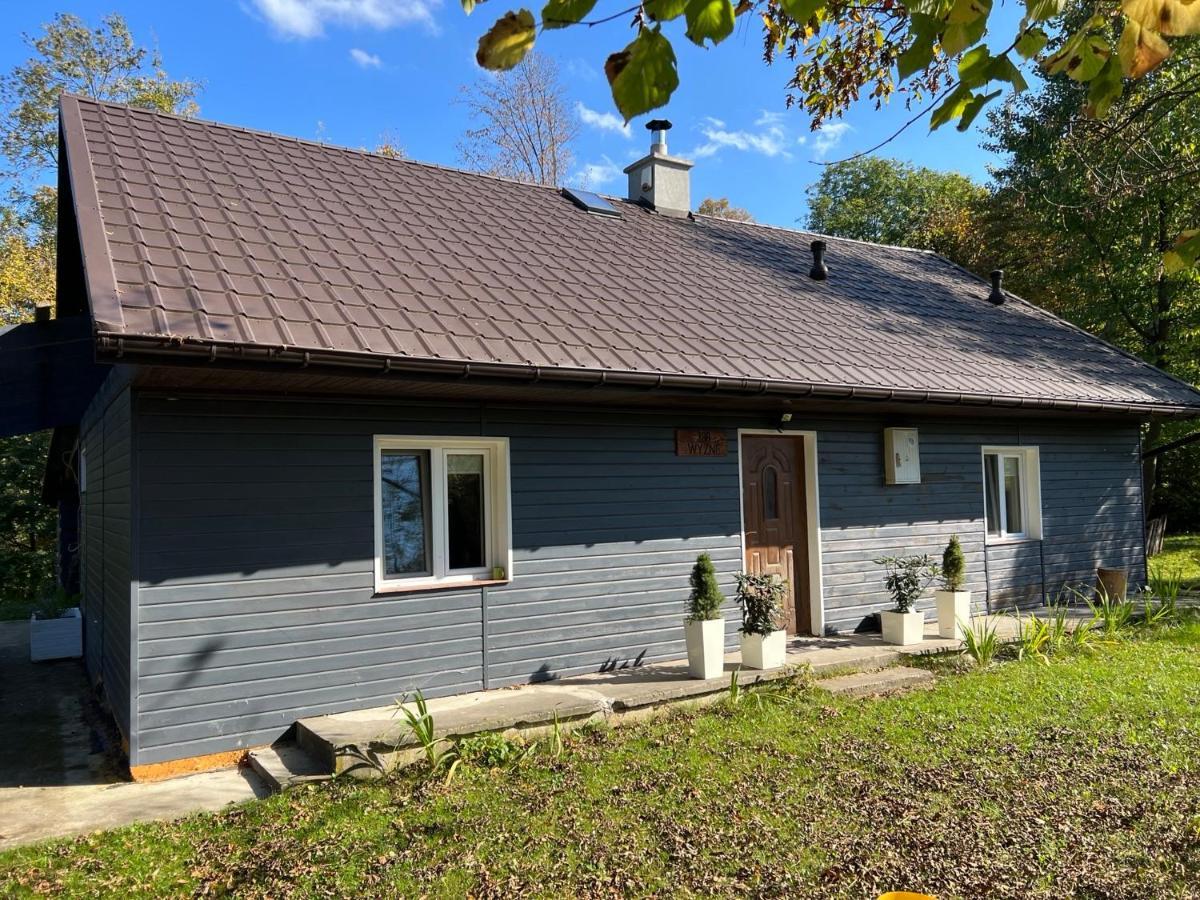 Siedlisko Wyzne Villa Kültér fotó