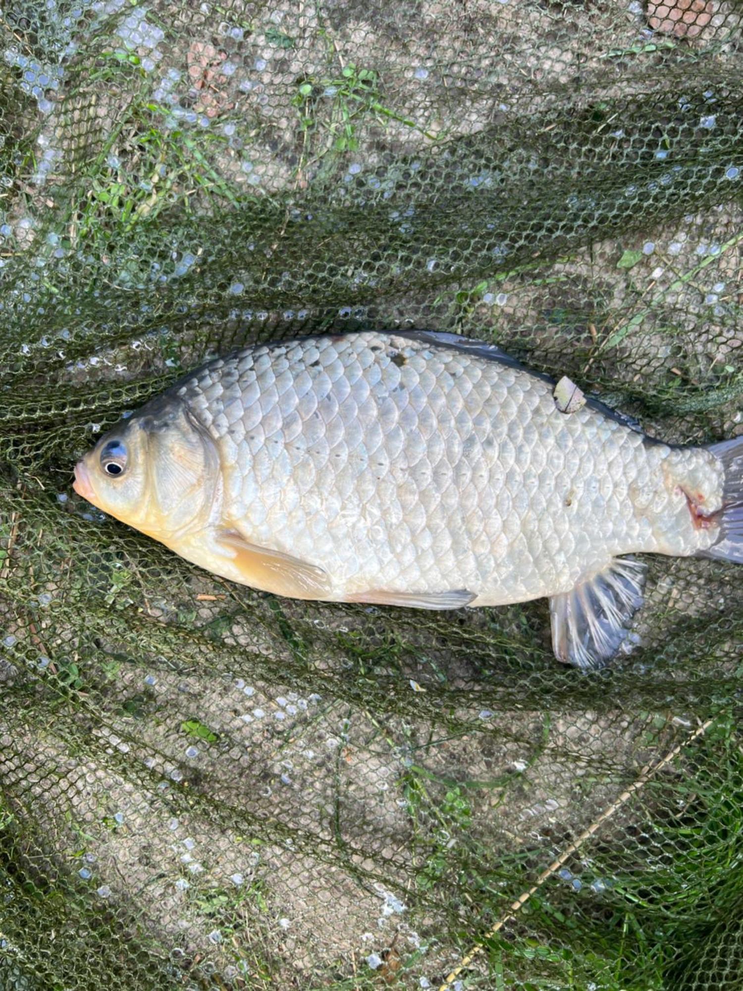 Siedlisko Wyzne Villa Kültér fotó